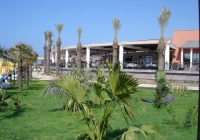  Iberotel Palm Garden 5*